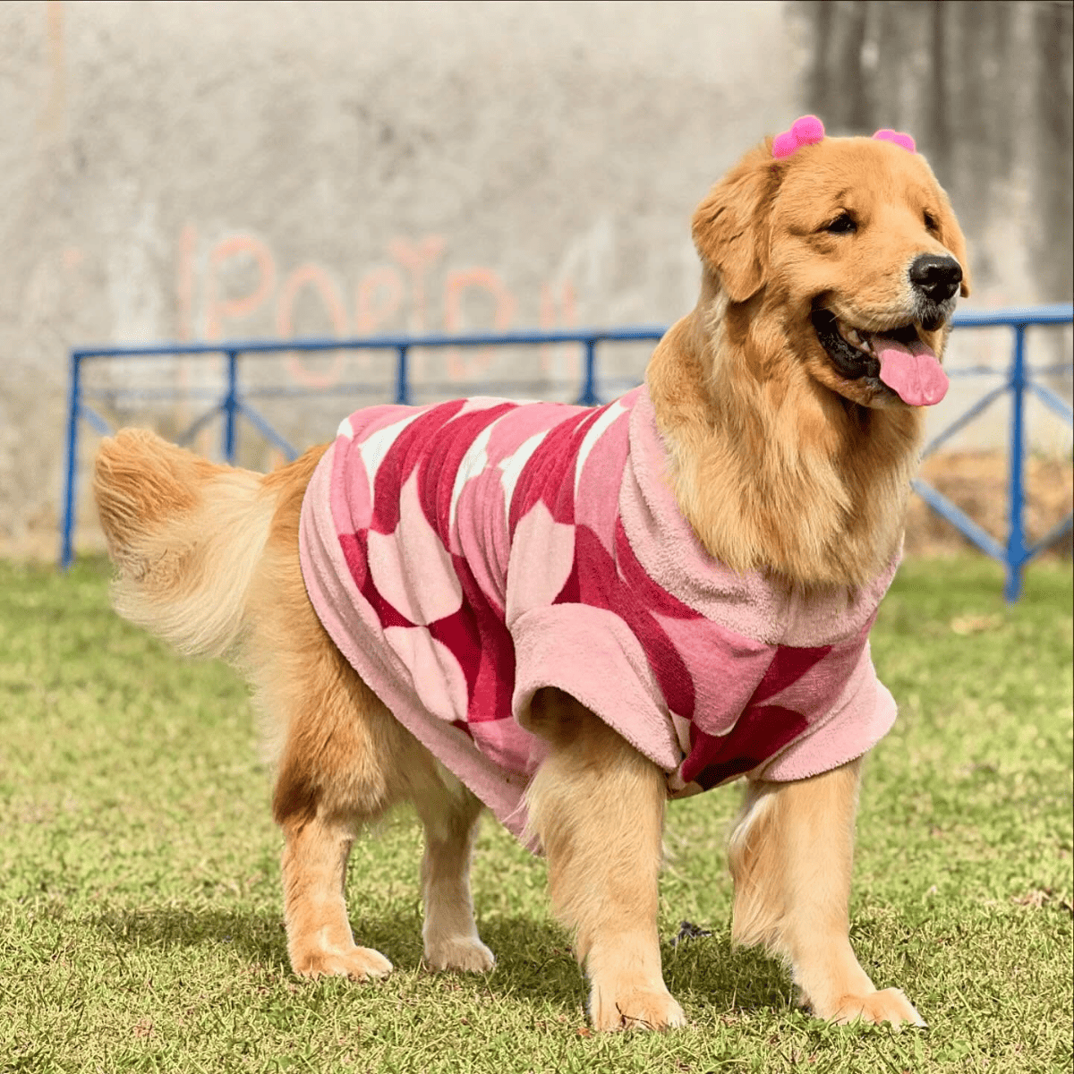 Roupinhas Inverno Para Cachorro Pet Pequeno Porte a Grande Porte Roupa 100% microfibra