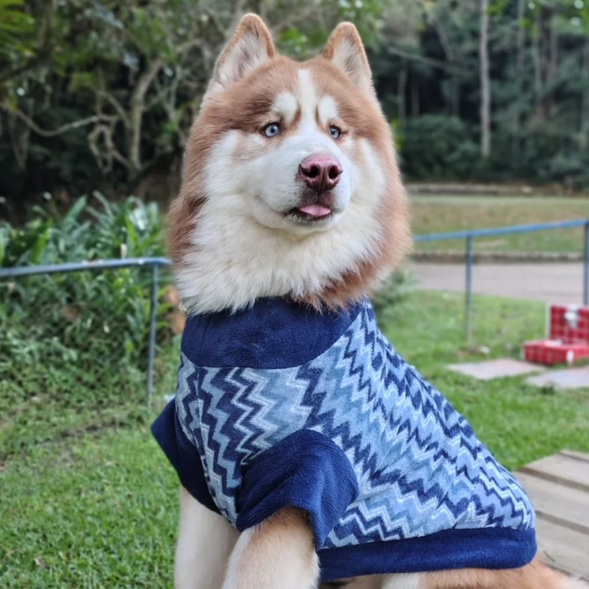 Roupinhas Inverno Para Cachorro Pet Pequeno Porte a Grande Porte Roupa 100% microfibra