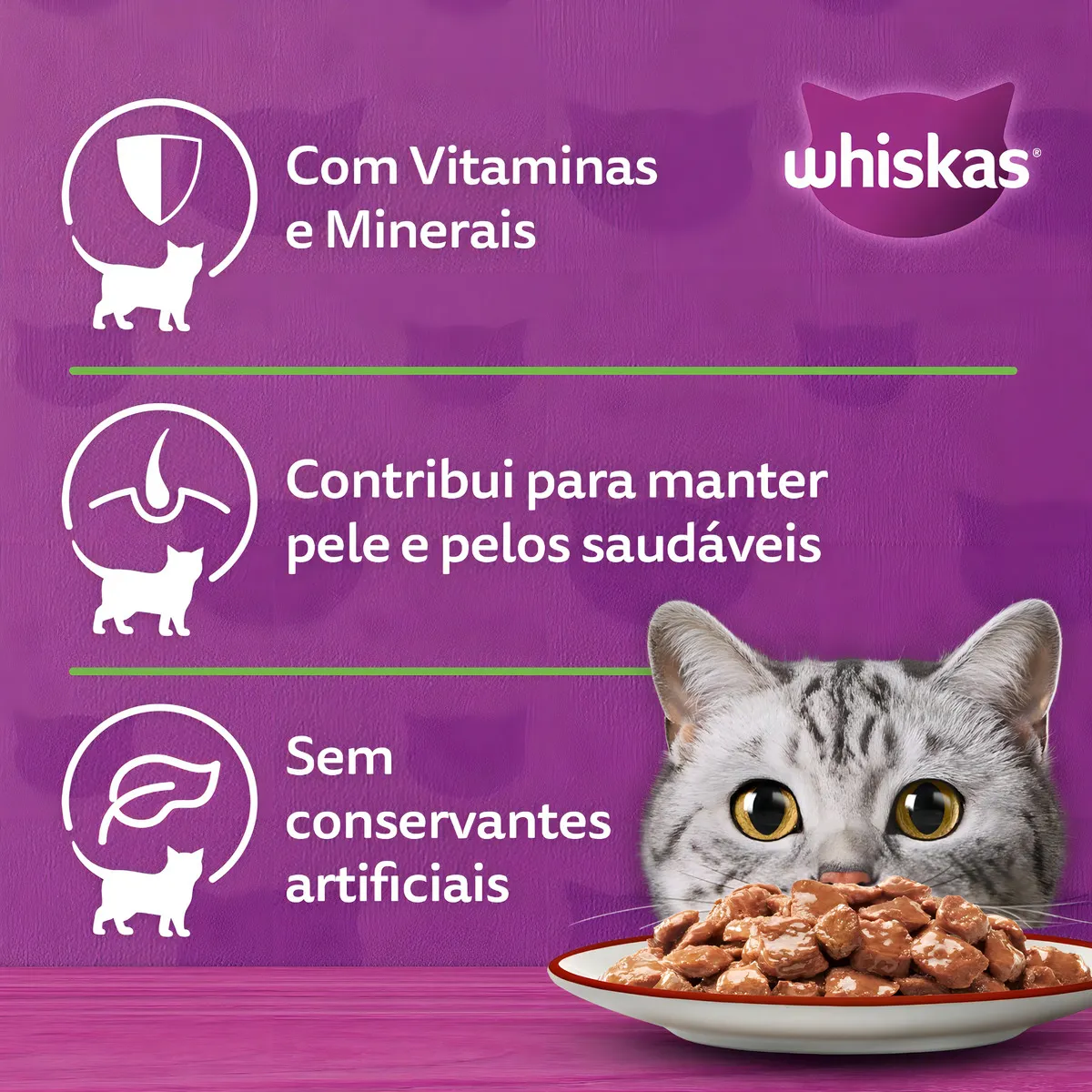 Kit 20und Whiskas Sache Para Gatos Carne Ao Molho 85g