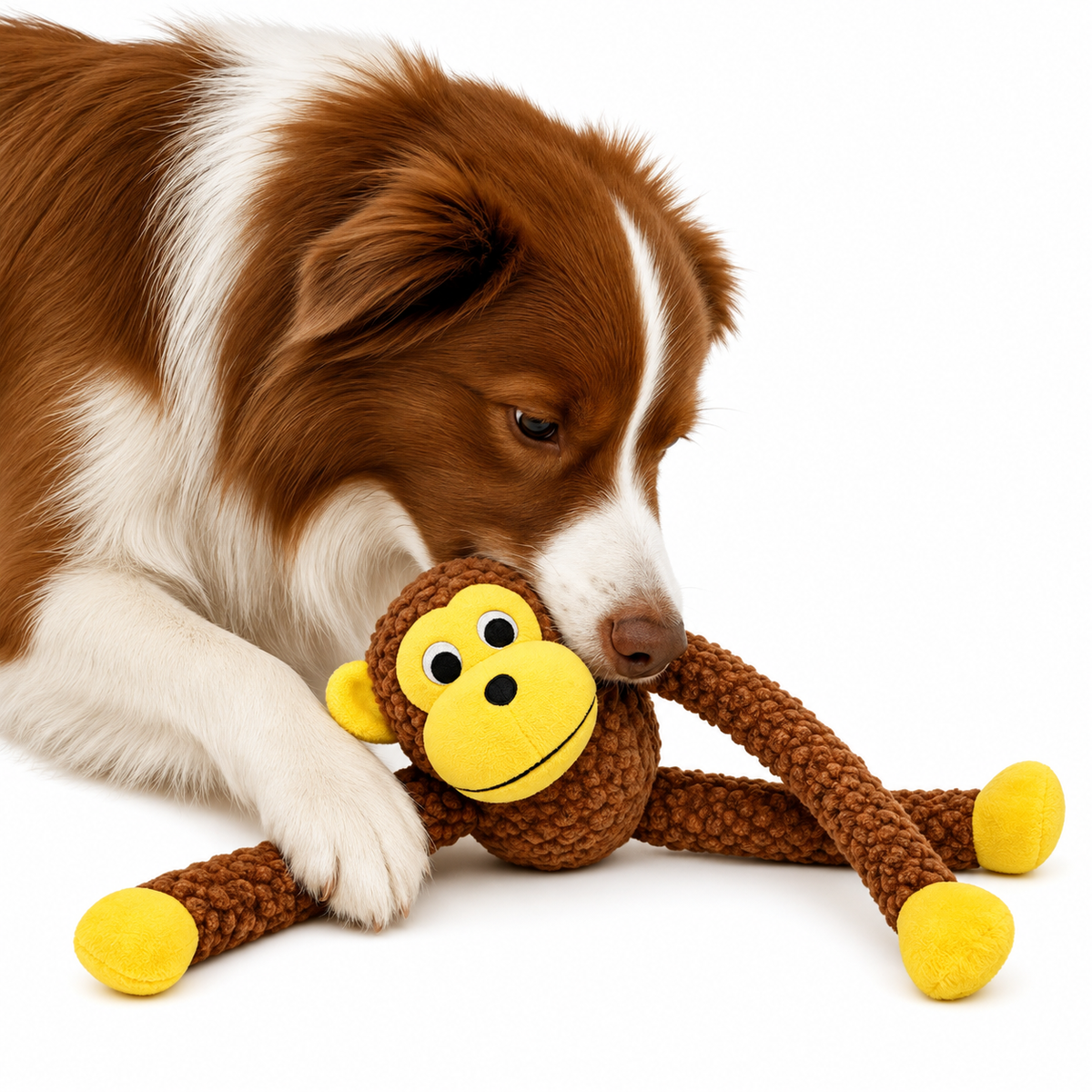 Kit 2 Brinquedo Para Cachorro Grande Pelúcia Mordedor Macaco + Pato com Apito