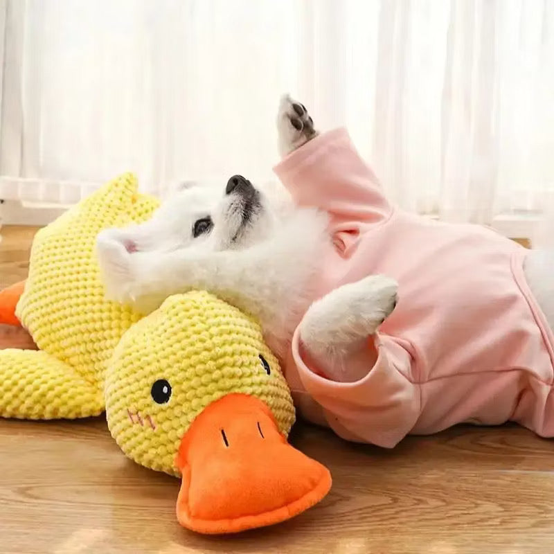 Brinquedo Interativo Pato de Pelúcia para Cães com Apito Som 23cm