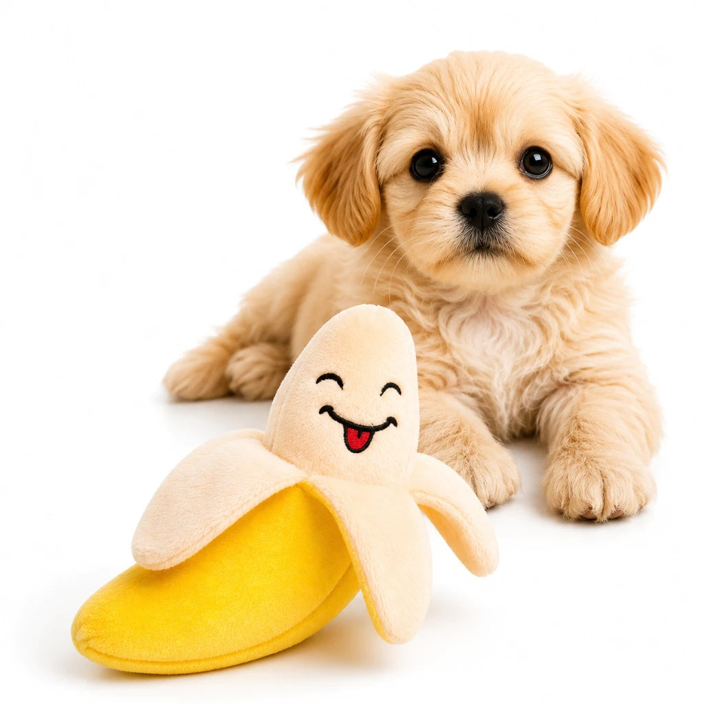 Brinquedo Pet Mordedor Banana de Pelúcia Com Apito P/ Cachorro