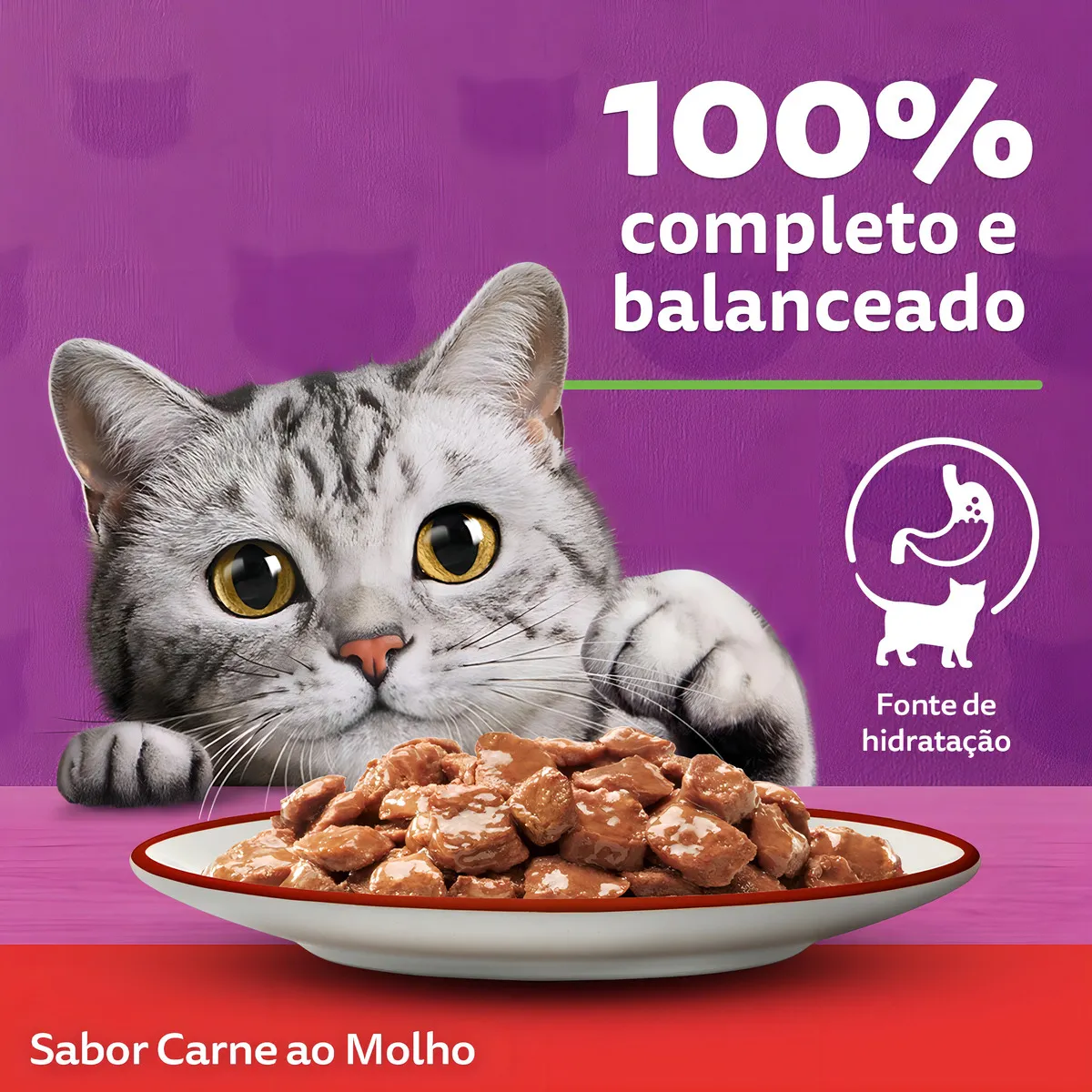 Kit 20und Whiskas Sache Para Gatos Carne Ao Molho 85g