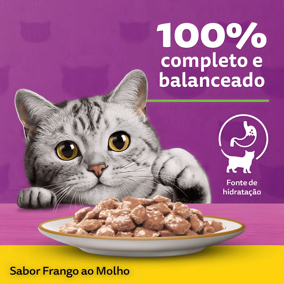 Kit 20und Whiskas Sache Para Gatos Frango Ao Molho 85g